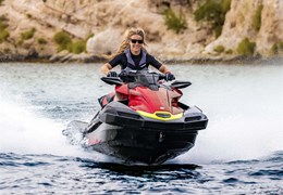 Neumotorrad Kawasaki Ultra 310X