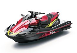 Neumotorrad Kawasaki Ultra 310X