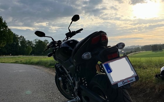 Gebrauchtmotorrad Suzuki SV650 - Bild 2