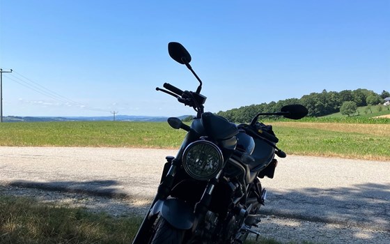 Gebrauchtmotorrad Suzuki SV650 - Bild 3