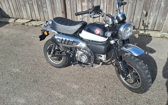 Gebrauchtmotorrad Honda Monkey 125 - Bild 1