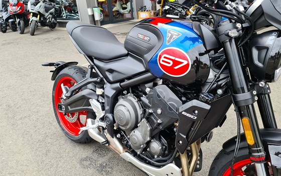 Neufahrzeug Triumph Trident 660 Triple Tribute - Bild 4