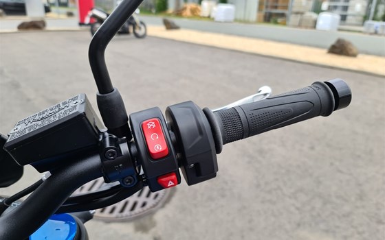 Neufahrzeug Triumph Trident 660 Triple Tribute - Bild 8