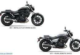 Neumotorrad Kawasaki Eliminator 500 SE