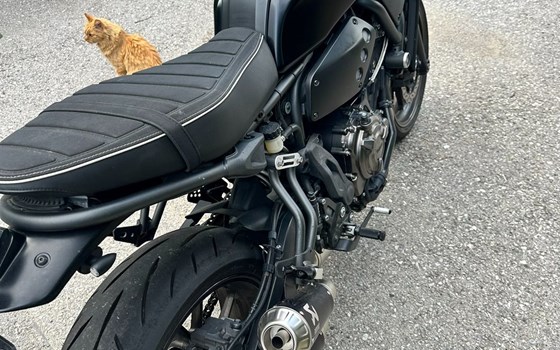 Gebrauchtmotorrad Yamaha XSR700 - Bild 10