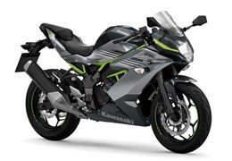 Neumotorrad Kawasaki Ninja 125