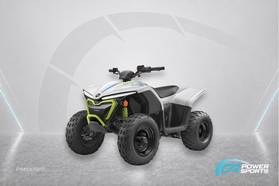CFMOTO CFORCE EV110