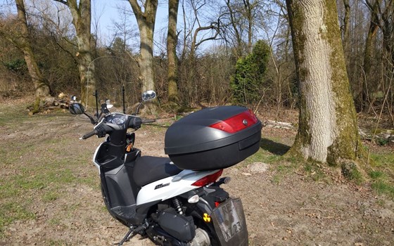 Gebrauchtmotorrad Suzuki Address 110 - Bild 5