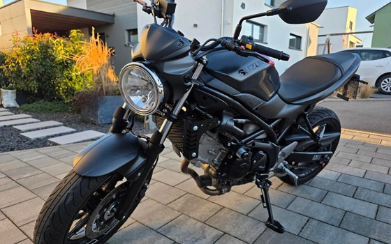 Gebrauchtmotorrad Suzuki SV650 - Bild 1