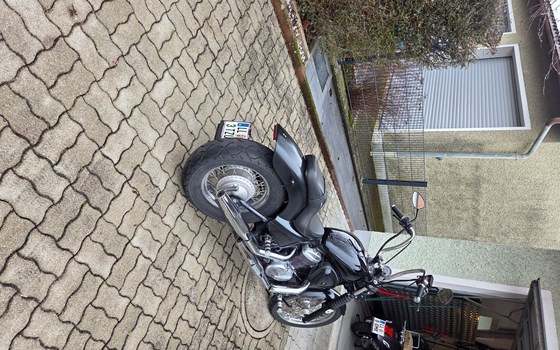 Gebrauchtmotorrad Honda VT 600 C Shadow - Bild 2