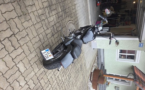 Gebrauchtmotorrad Honda VT 600 C Shadow - Bild 5