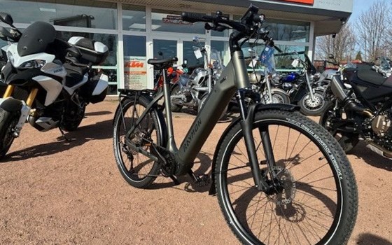 Neufahrzeug Raymon Tourray Pro - Bild 4