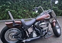 Gebrauchte Harley-Davidson FXST/F