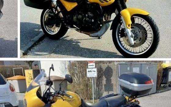 Gebrauchtmotorrad Triumph Tiger 900 - Bild 2