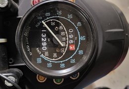 Occasion Ural Sportsman