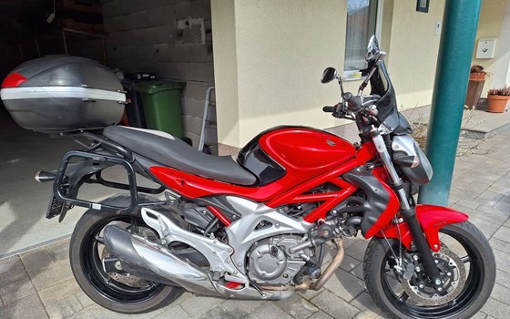 Gebrauchtmotorrad Suzuki SFV 650 Gladius - Bild 1