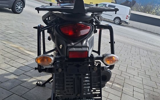 Gebrauchtmotorrad Suzuki SFV 650 Gladius - Bild 7