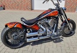 Gebrauchte Harley-Davidson Fat Boy FLSTFI