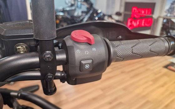Neufahrzeug Royal Enfield Himalayan 450 - Bild 11