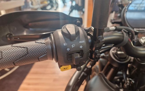 Neufahrzeug Royal Enfield Himalayan 450 - Bild 12
