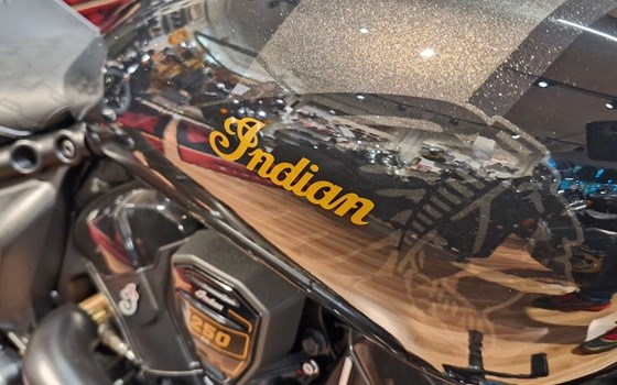 Neufahrzeug Indian Scout - Bild 6