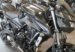 Neumotorrad Kawasaki Z650 S