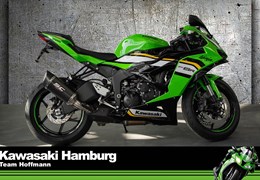 Neumotorrad Kawasaki Ninja ZX-6R 636