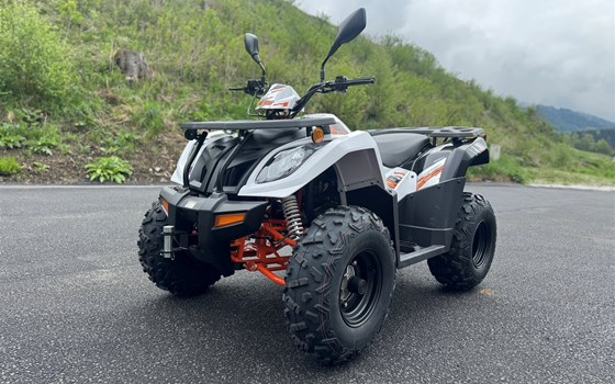 Neufahrzeug Kayo A 300 - Bild 15