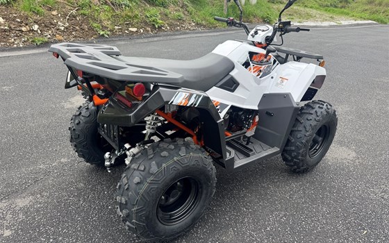 Neufahrzeug Kayo A 300 - Bild 6