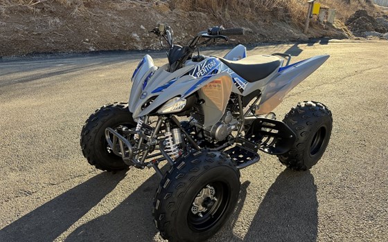 Neufahrzeug Mikilon Pentora ATV 250 - Bild 12