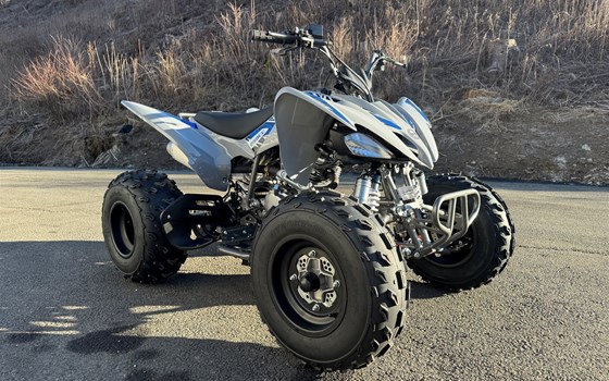 Neufahrzeug Mikilon Pentora ATV 250 - Bild 2