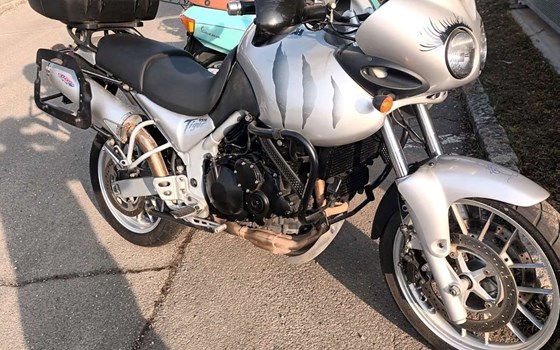 Gebrauchtmotorrad Triumph Tiger 955i - Bild 7