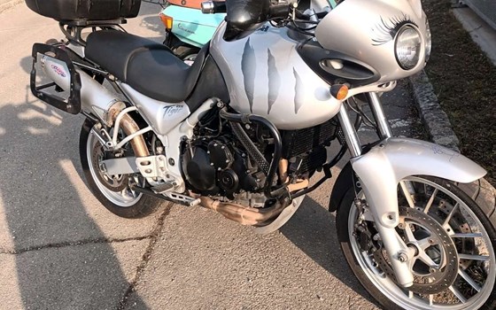 Gebrauchtmotorrad Triumph Tiger 955i - Bild 7