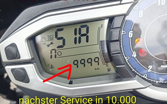 Gebrauchtmotorrad Triumph Tiger 800 XC - Bild 8