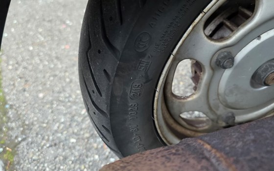 Motorrad Occasion Sym Mio 100 - Bild 8