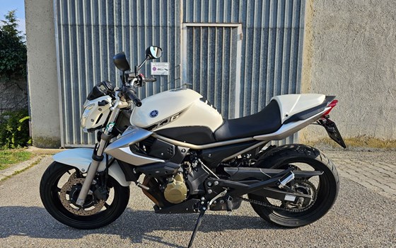 Gebrauchtmotorrad Yamaha XJ6 - Bild 3