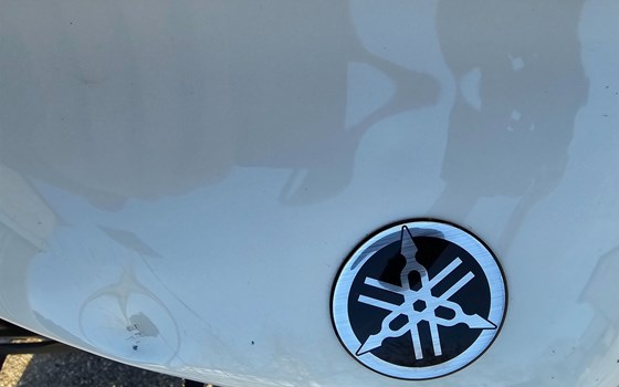 Gebrauchtmotorrad Yamaha XJ6 - Bild 8