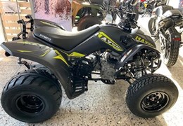 Neumotorrad Kymco Maxxer S 300 T Onroad