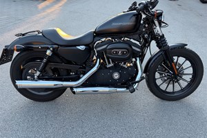 Angebot Harley-Davidson Sportster XL 883 N Iron