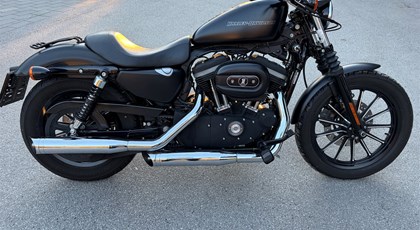 Gebrauchtfahrzeug Harley-Davidson Sportster XL 883 N Iron