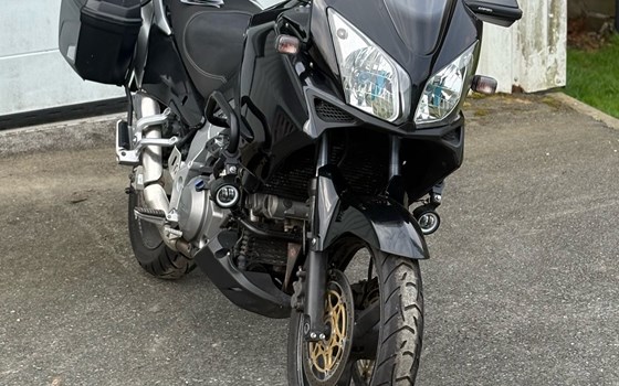 Gebrauchtmotorrad Suzuki V-Strom 1000 - Bild 1