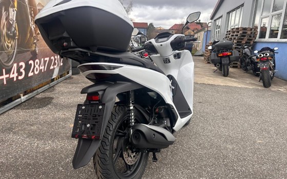 Neufahrzeug Honda SH125 - Bild 4