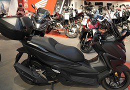 Neumotorrad Honda Forza 125