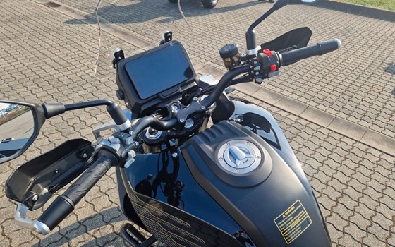 Neufahrzeug QJ Motor SRT 900 SX - Bild 4