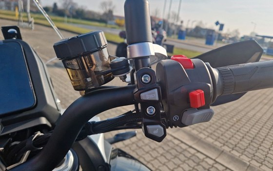 Neufahrzeug QJ Motor SRT 900 SX - Bild 5