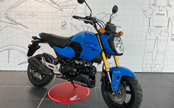 Gebrauchtmotorrad Honda MSX125 Grom - Bild 2