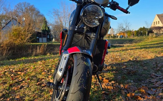 Gebrauchtmotorrad Triumph Trident 660 - Bild 18