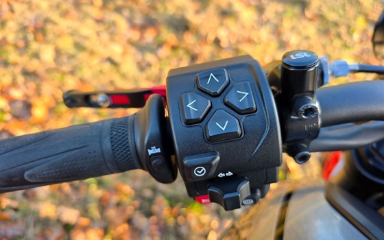 Gebrauchtmotorrad Triumph Trident 660 - Bild 19