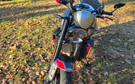 Gebrauchtmotorrad Triumph Trident 660 - Bild 2