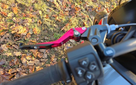 Gebrauchtmotorrad Triumph Trident 660 - Bild 20